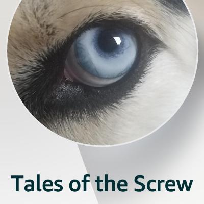 avatar for screwturn@mastodon.social