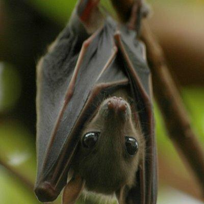 avatar for martacobixeira@neopaquita.es