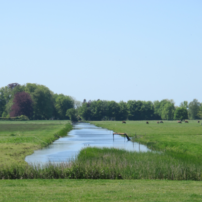 avatar for ekes@drupal.community