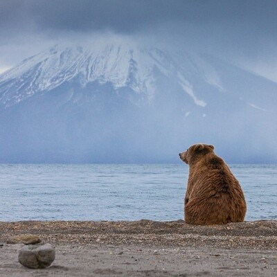 avatar for reading_recluse@c.im