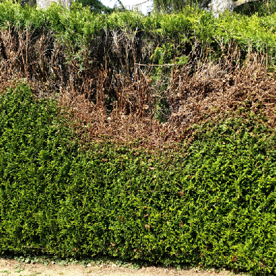 avatar for un_blaze@eldritch.cafe