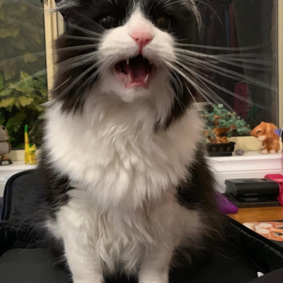 avatar for davej@dice.camp