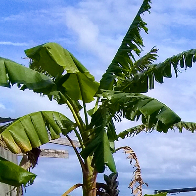 avatar for Zero2beach@mstdn.social