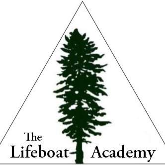 avatar for lifeboatacademy@mastodon.social