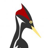 avatar for CvkvlvBeadwork@turtleisland.social