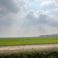 avatar for mauro95@pixelfed.social