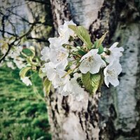 avatar for ErEfEf@pixelfed.social