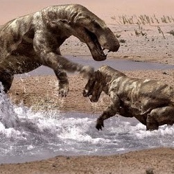 avatar for blogorgonopsid@mastodon.social