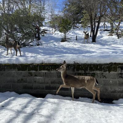 avatar for moss@kind.social