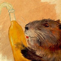 avatar for Lokigwyn@pixelfed.fr