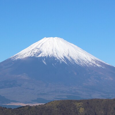 avatar for MountFuji@channels.im