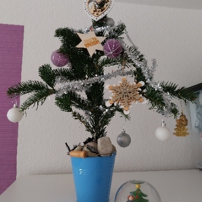 avatar for exsplora@mastodon.social