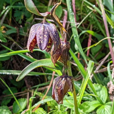 avatar for jmccyoung@mstdn.social