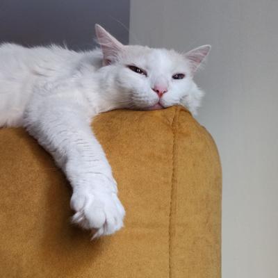 avatar for carbaes@frikiverse.zone