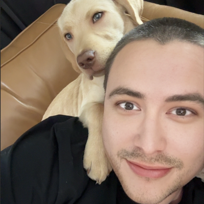 avatar for dansup@mastodon.social