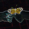 avatar for mramsdellpics@mastodon.social