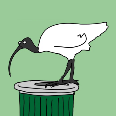 avatar for BinChicken@rants.au