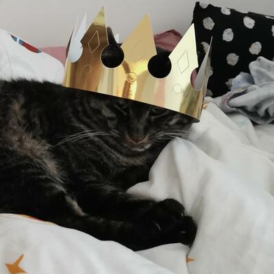 avatar for jesusmargar@mastodon.social