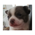 avatar for sandhoferlitter