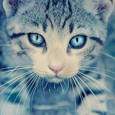 avatar for comp_ed82@mastodon.social