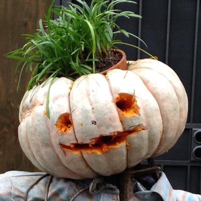 avatar for brentsleeper@sfba.social