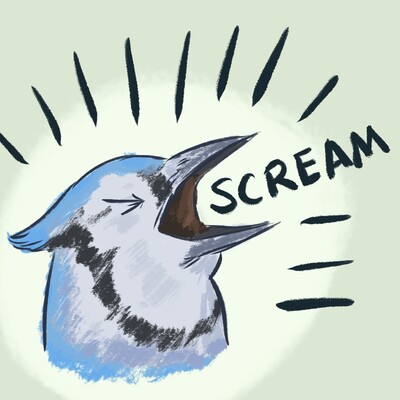 avatar for nev@flipping.rocks