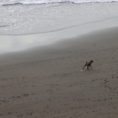 avatar for simonperry@mastodon.uno