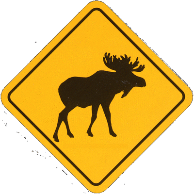 avatar for chris@root.moose.ca