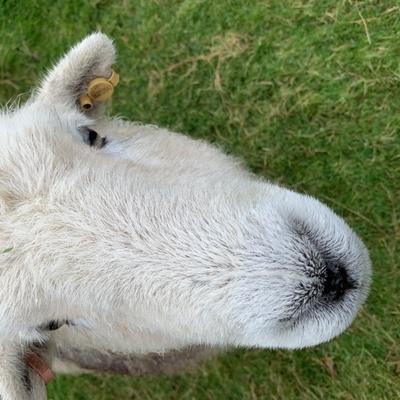 avatar for JeniParsons@mstdn.social