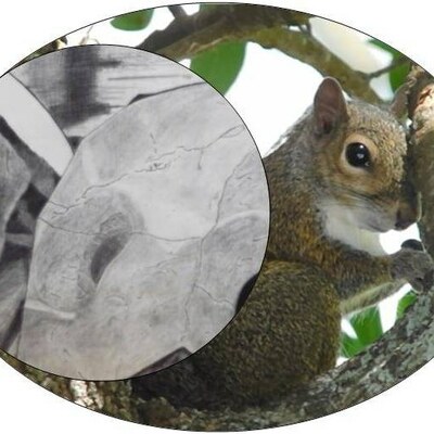 avatar for kaos657@photog.social