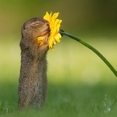 avatar for Maripili@tuiter.rocks