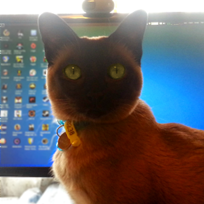 avatar for Muse_Lux@ohai.social