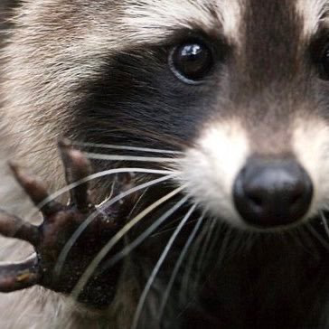 avatar for 990000@mstdn.social