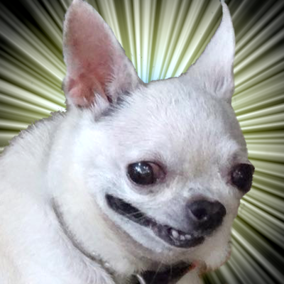 avatar for lardmotel@mastodon.sdf.org