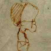 avatar for technicat@universeodon.com