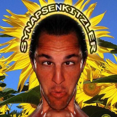 avatar for synapsenkitzler@digitalcourage.social
