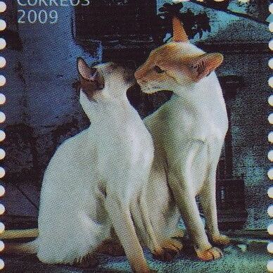 avatar for jaimeJ@social.seattle.wa.us