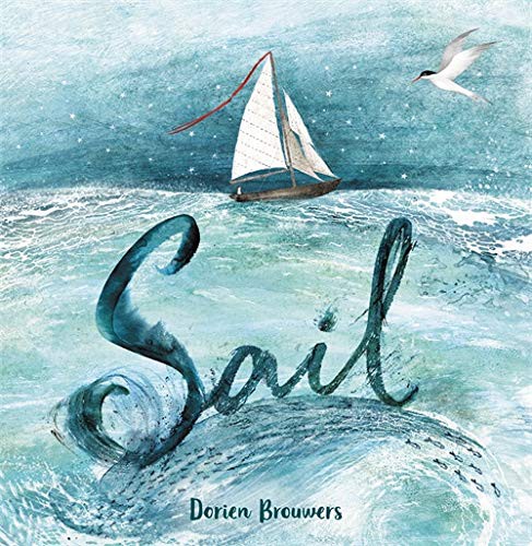 Dorien Brouwers: Sail (Hardcover, Little, Brown Books for Young Readers)