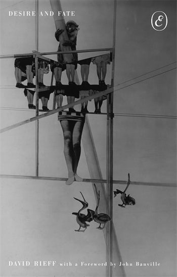 David Rieff: Desire and Fate (Paperback, Columbia University Press)