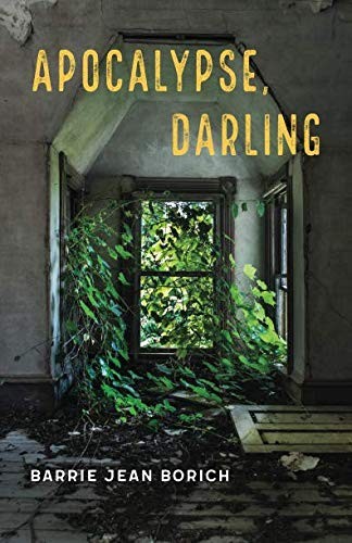 Barrie Jean Borich: Apocalypse, Darling (Paperback, Mad Creek Books)