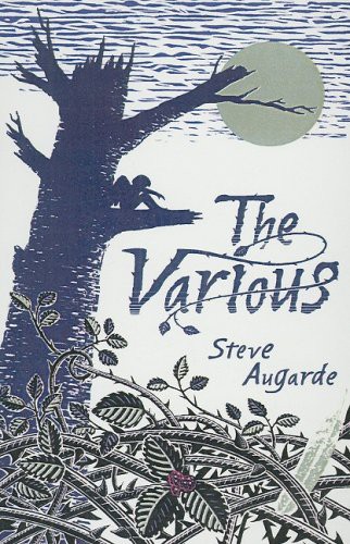Steve Augarde: The Various (Hardcover, Perfection Learning)