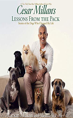 Angelo Di Loreto, Cesar Millan, Melissa Jo Peltier: Cesar Millan's Lessons From the Pack (AudiobookFormat, Audible Studios on Brilliance Audio, Audible Studios on Brilliance)
