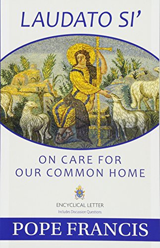 Catholic Church, Pope Francis: Laudato Si' (Paperback, 2015, Our Sunday Visitor)