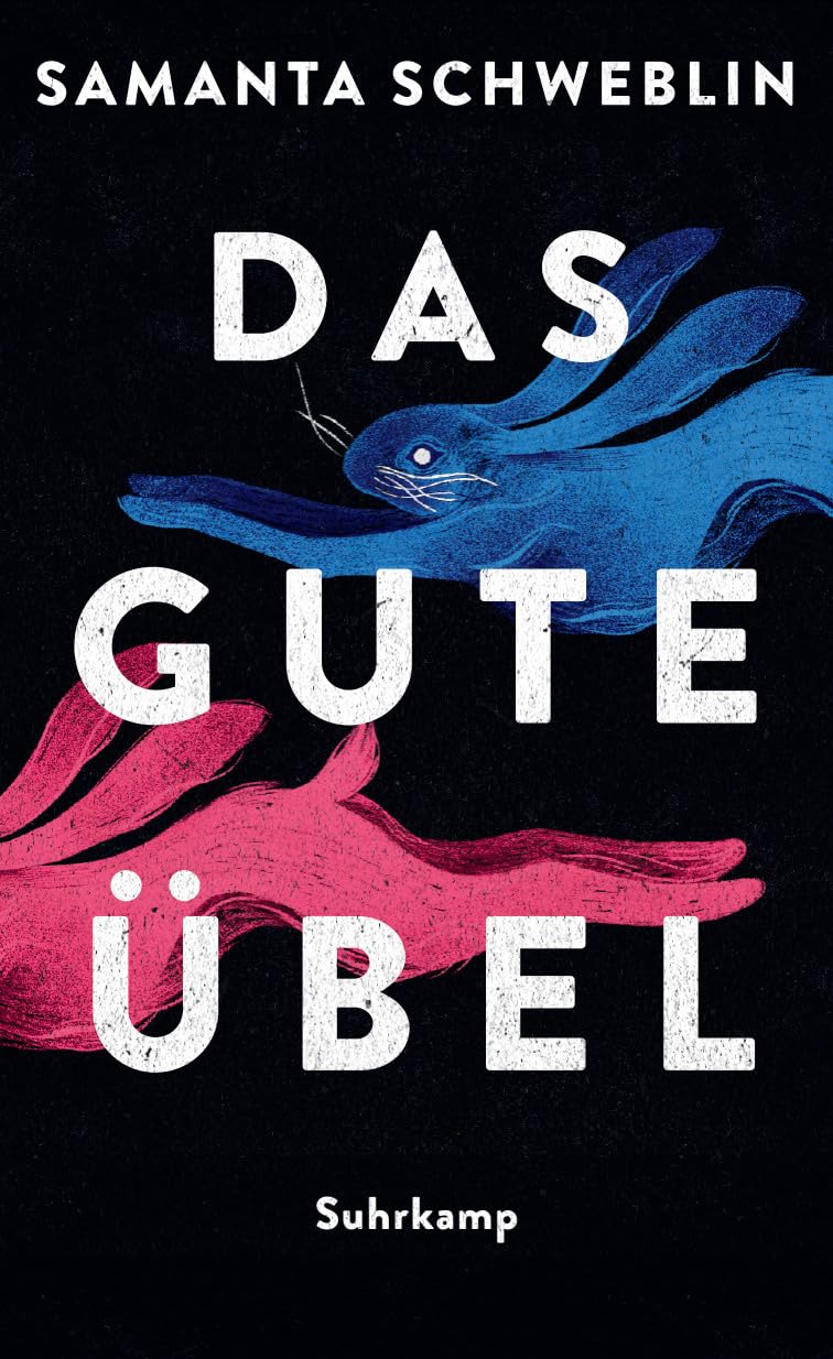 Samanta Schweblin: Das gute Übel (Hardcover, Deutsch language, 2025, Suhrkamp Verlag)