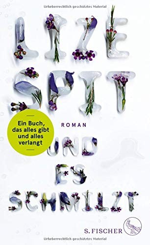 Spit  Lize: Und es schmilzt (Hardcover, Fischer)