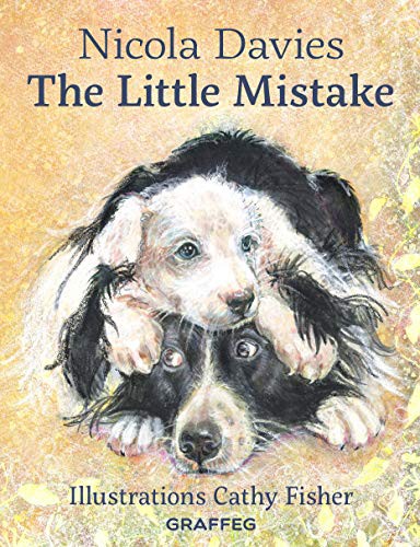 Nicola Davies, Cathy Fisher: The Little Mistake (Paperback, 2019, Graffeg)