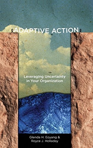 Glenda H. Eoyang, Royce J. Holladay: Adaptive Action (Hardcover, Stanford Business Books)