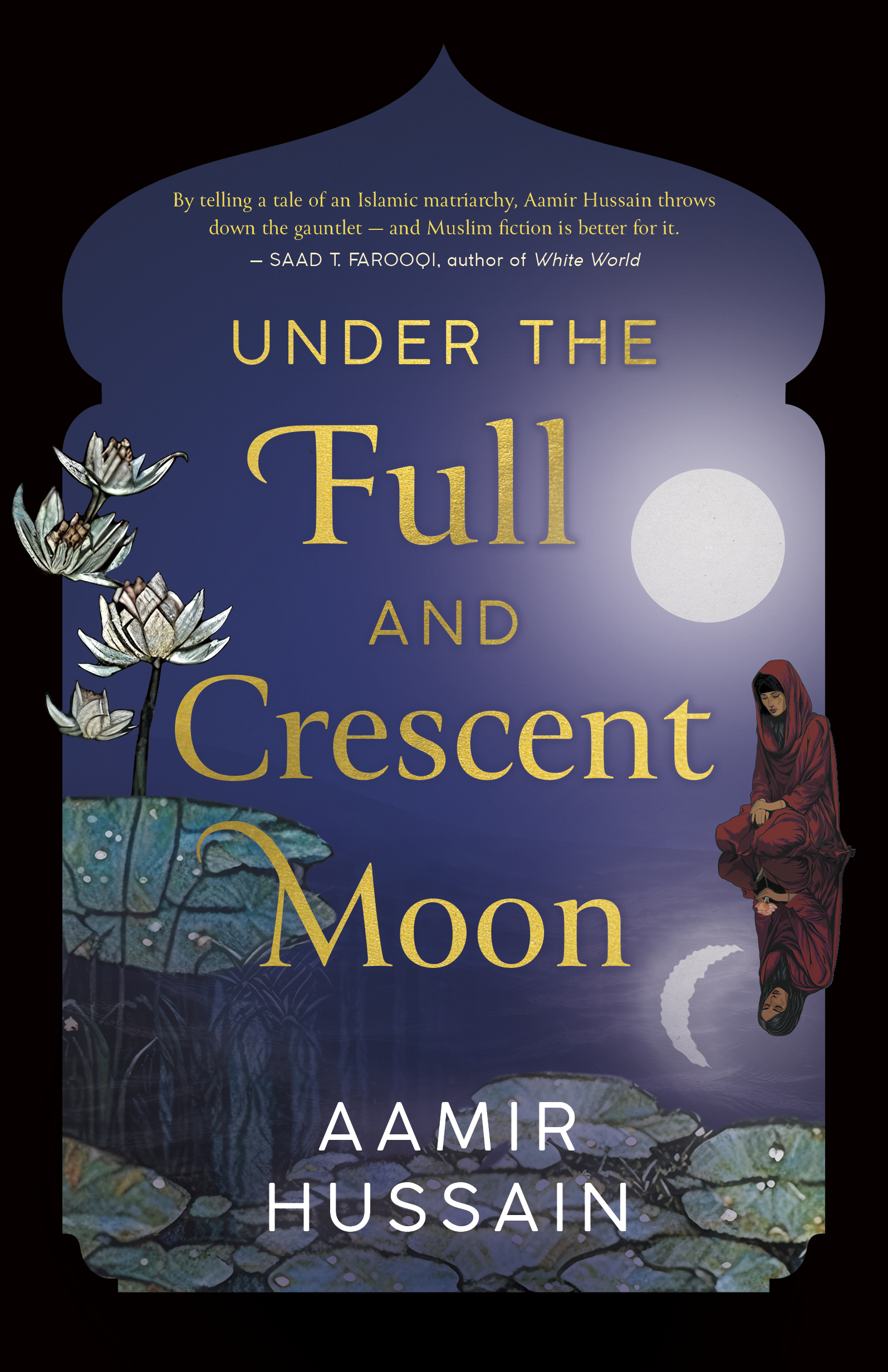 Aamir Hussain: Under the Full and Crescent Moon (Paperback, 2025, Dundurn Press)