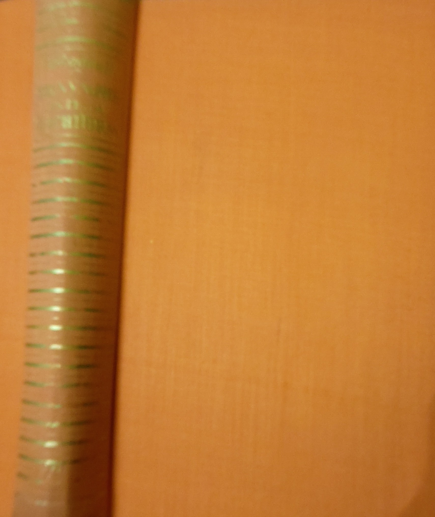 Thomas Head Raddall: Die Nymphe unterm Leuchtturm (Hardcover, german language, Zsolnay)