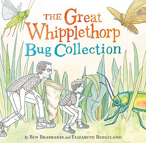 Ben Brashares, Elizabeth Bergeland: The Great Whipplethorp Bug Collection (Hardcover, 2021, Little, Brown Books for Young Readers)